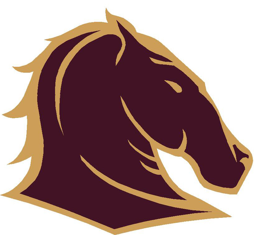 Bronco